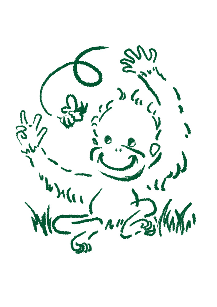 オランウータン